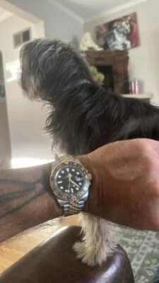 Customer review photo
