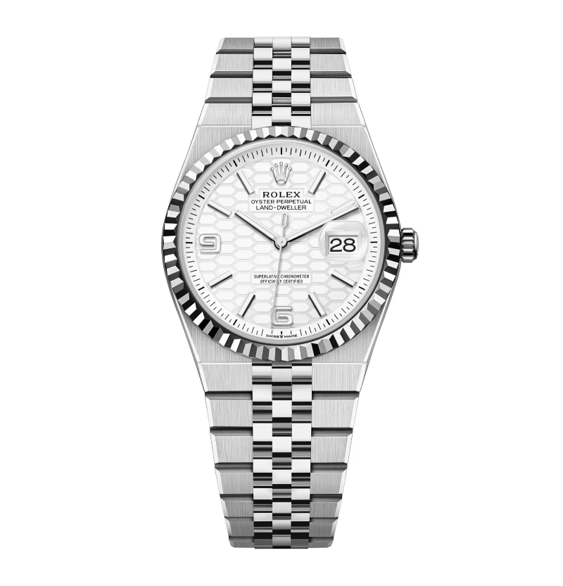 Rolex Land-Dweller 36 mm Stainless Steel (2025)