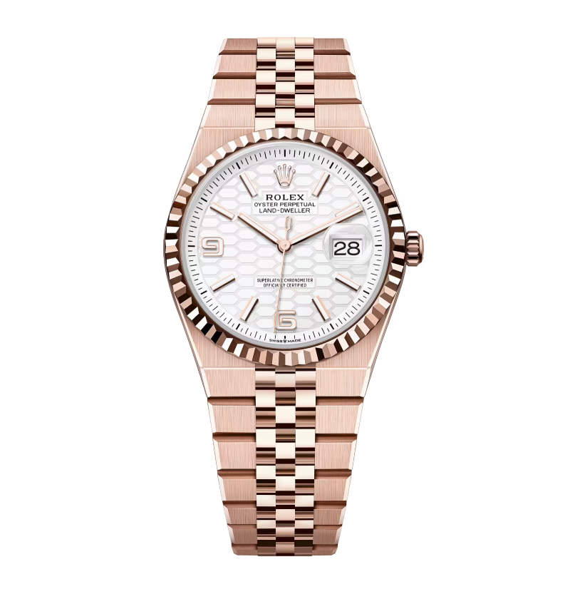 Rolex Land-Dweller 36 mm Everose gold (2025)