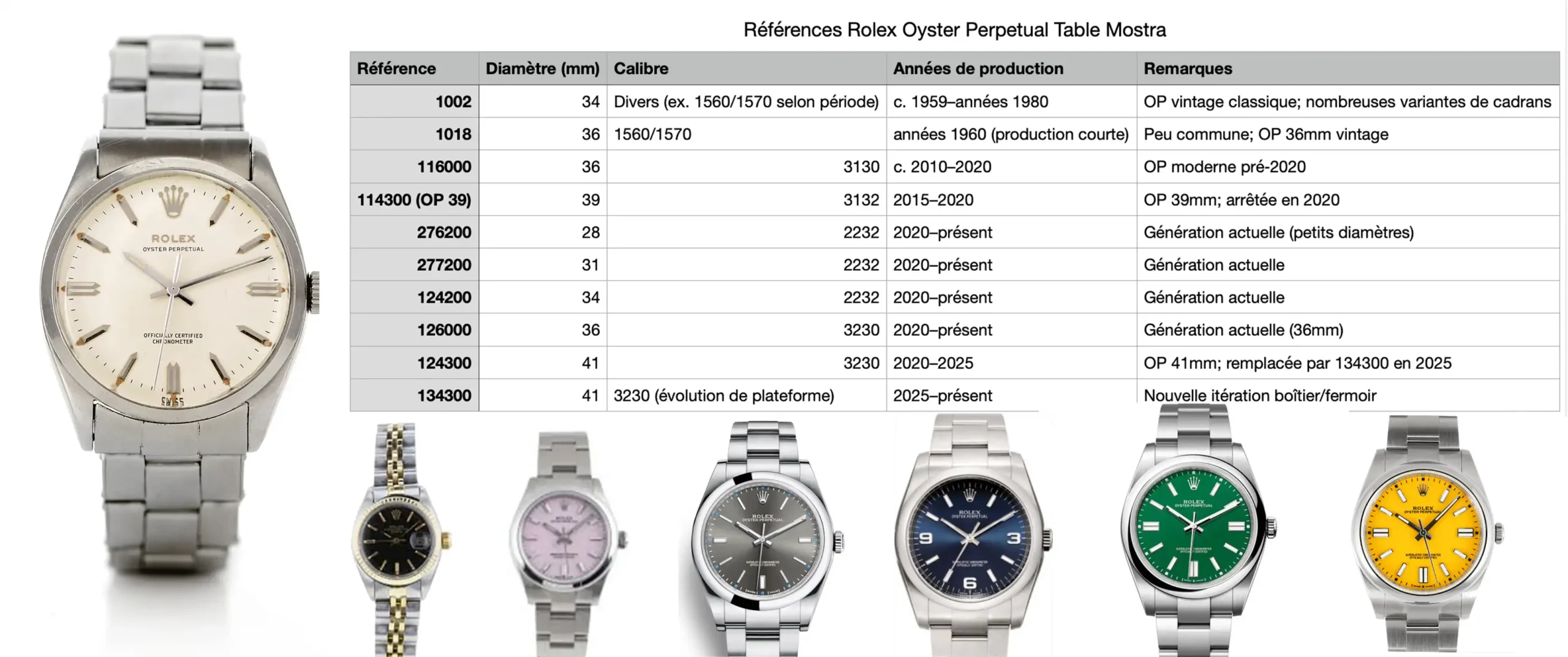 Rolex Oyster Perpetual history collection showing vintage and modern luxury watch models